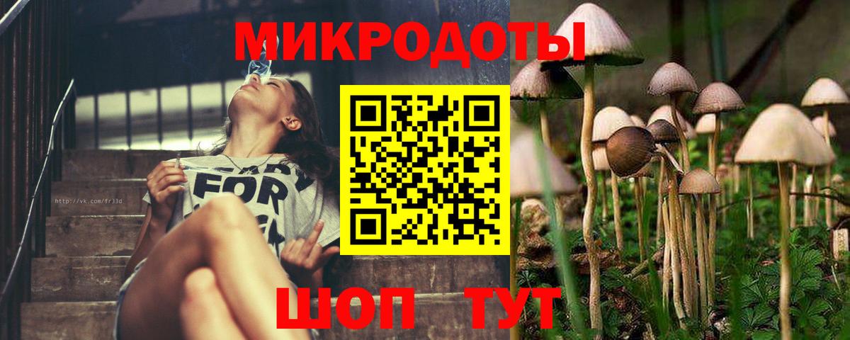 Галлюциногенные грибы мухоморы Урюпинск